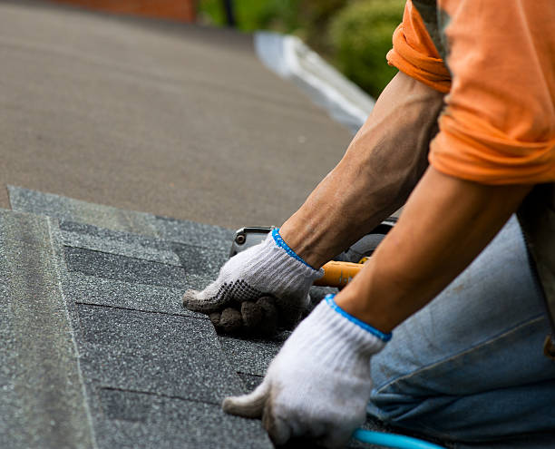Best Roof Gutter Cleaning  in Poteet, TX